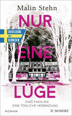 Nur eine Lüge - Zwei Familien, eine tödliche Verbindung Malin Stehn Taschenbuch