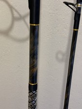 10 ft Item Saltwater Medium Fishing Rods & Poles for sale | eBay