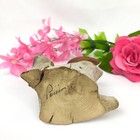 Bild 7 von 7