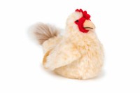 PlüSchtier Huhn 23Cm Stofftier Stofftiere Kuscheltier Gockel Henne HäHnchen Hahn