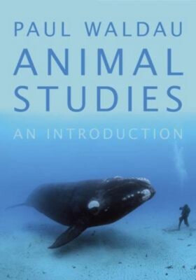 Animal Studies : An Introduction Paperback Paul Waldau