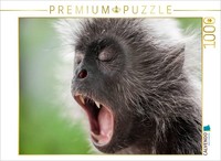 Calvendo Puzzle Affe | 1000 Teile Lege-GrößE 64X48Cm Foto-Puzzle FüR GlüCkliche