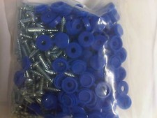100 Pack Number Plate Metal Screws & BLUE Plastic Caps