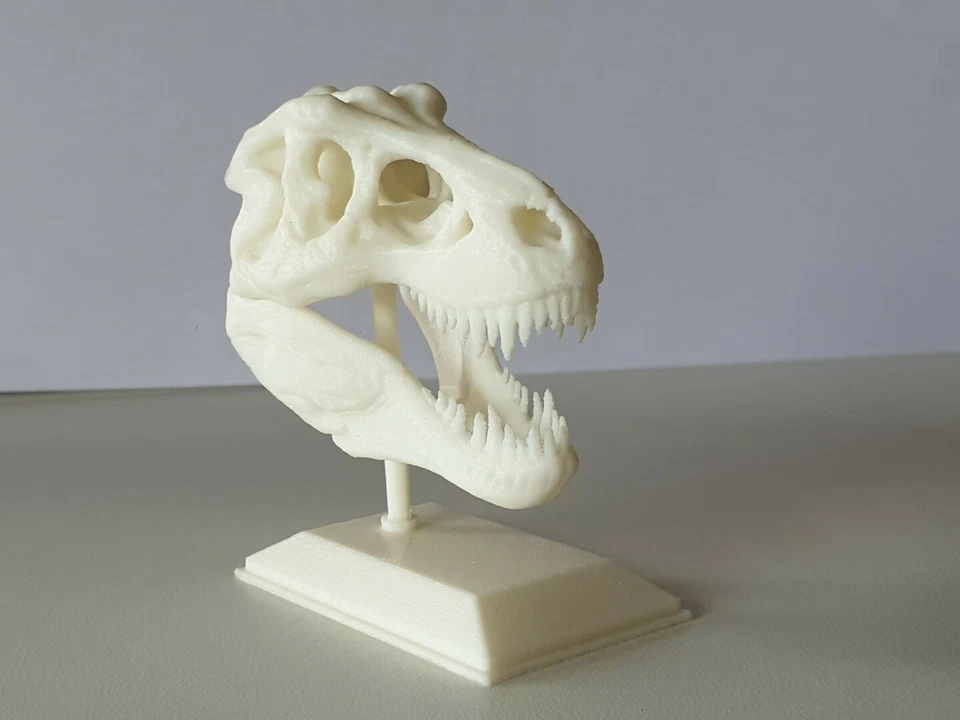 Stampa 3d, PLA T-rex modello 3D Scheletro - Immagine 2 di 4