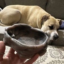 Zoo Med Repti Rock Reptile Water Dish Bowl for Reptiles