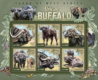 Buffalos Wild Animals Stamps Sierra Leone 2015 MNH African Buffalo ...