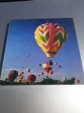 Springbok Puzzle Flying colors! 500