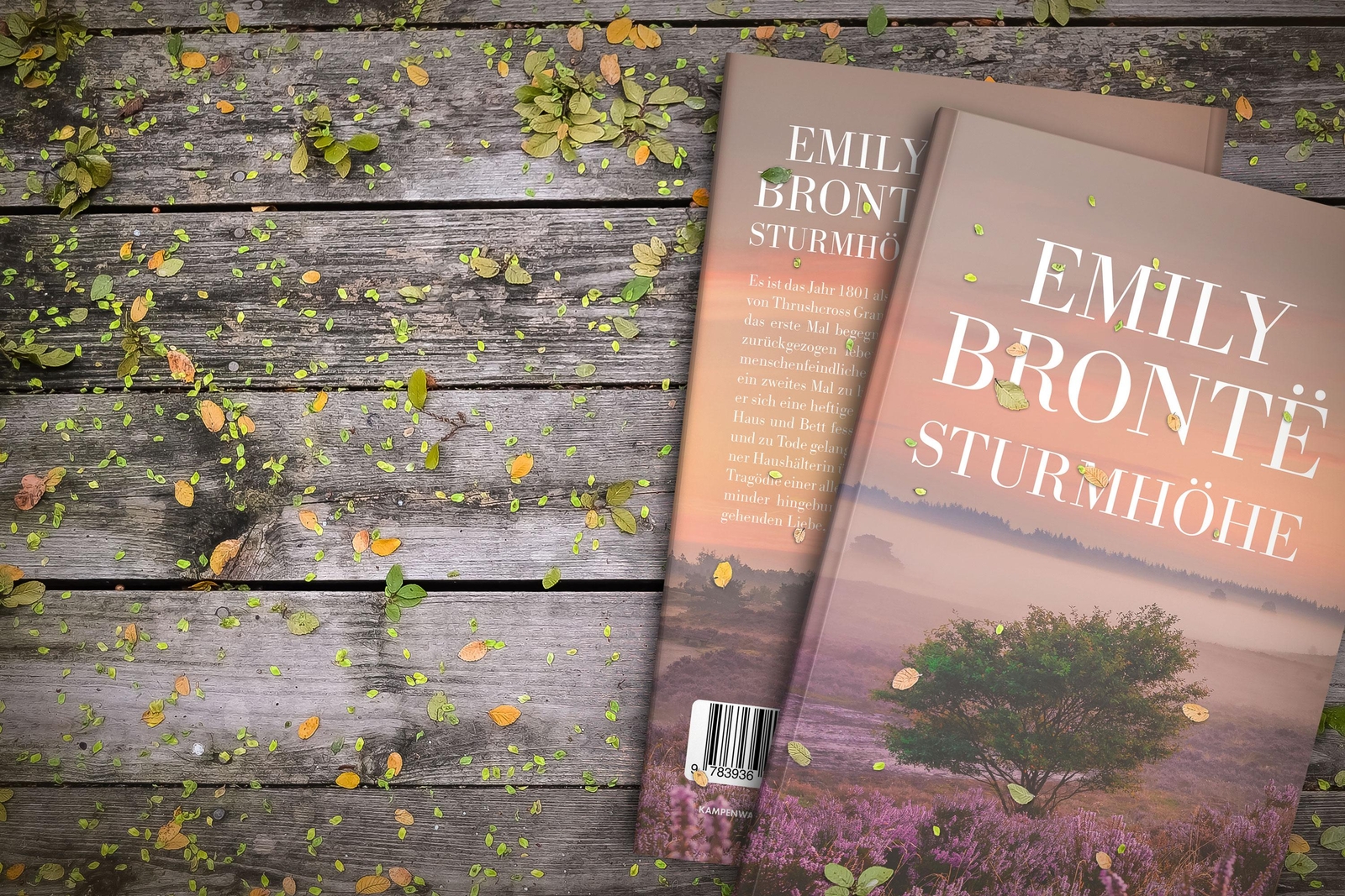 Thumbnail - Sturmhöhe Emily Brontë