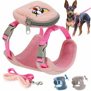 cute dog leads