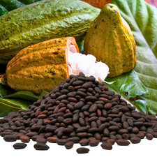 Rohe, ganze Schwar Kakaobohnen | Naturprodukt...