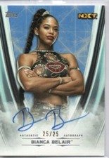 2020 Topps WWE Undisputed Wrestling Cards 13