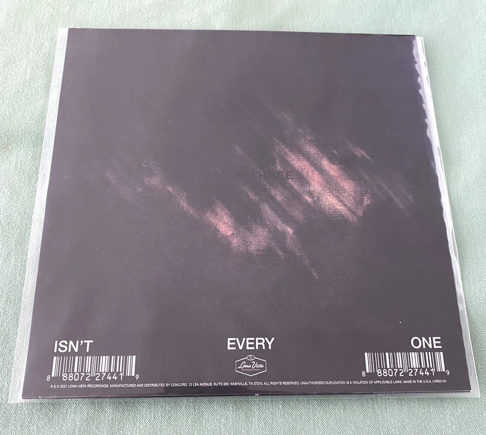 Nine Inch Nails / Health     **RARE VINYL **      Isn't Everyone - Image 2 of 2