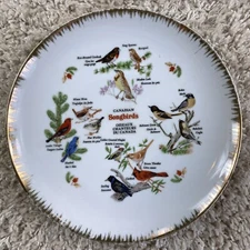 Vintage G C Japan Decorative Canadian Songbirds Collector Plate 10 in