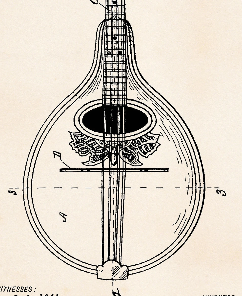Mandolin Drawing