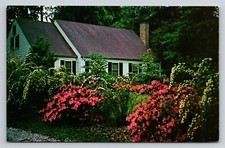 Covington Louisiana Home with Dogwood & Azalea Flowers LA Vintage Postcard UNP