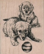 Dogs With Ball 2 1/2 x 3" Rubber Stamp, Dog Stamp, Dog Lover Stamp