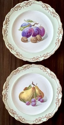 Shelley Fine Bone China 2 x Mittagessen Teller /22cm /Pat: Obstgarten Obst 12775 22cm