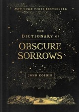 The Dictionary of Obscure Sorrows by John Koe...