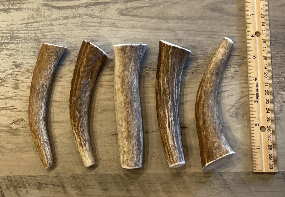 (3 PACK) MEDIUM  Elk/Deer Antler Premium Dog Chews **OREGON ANTLER WORKS** - Image 2 of 4