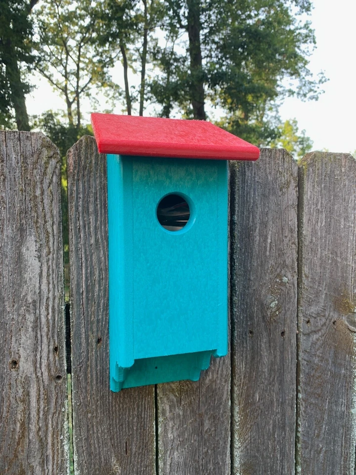 Blue Bird Bird House, Birdhouse, Bluebird, Birdhouse hecha por Amish, Poly Birdhouse, Foto 4 de 4