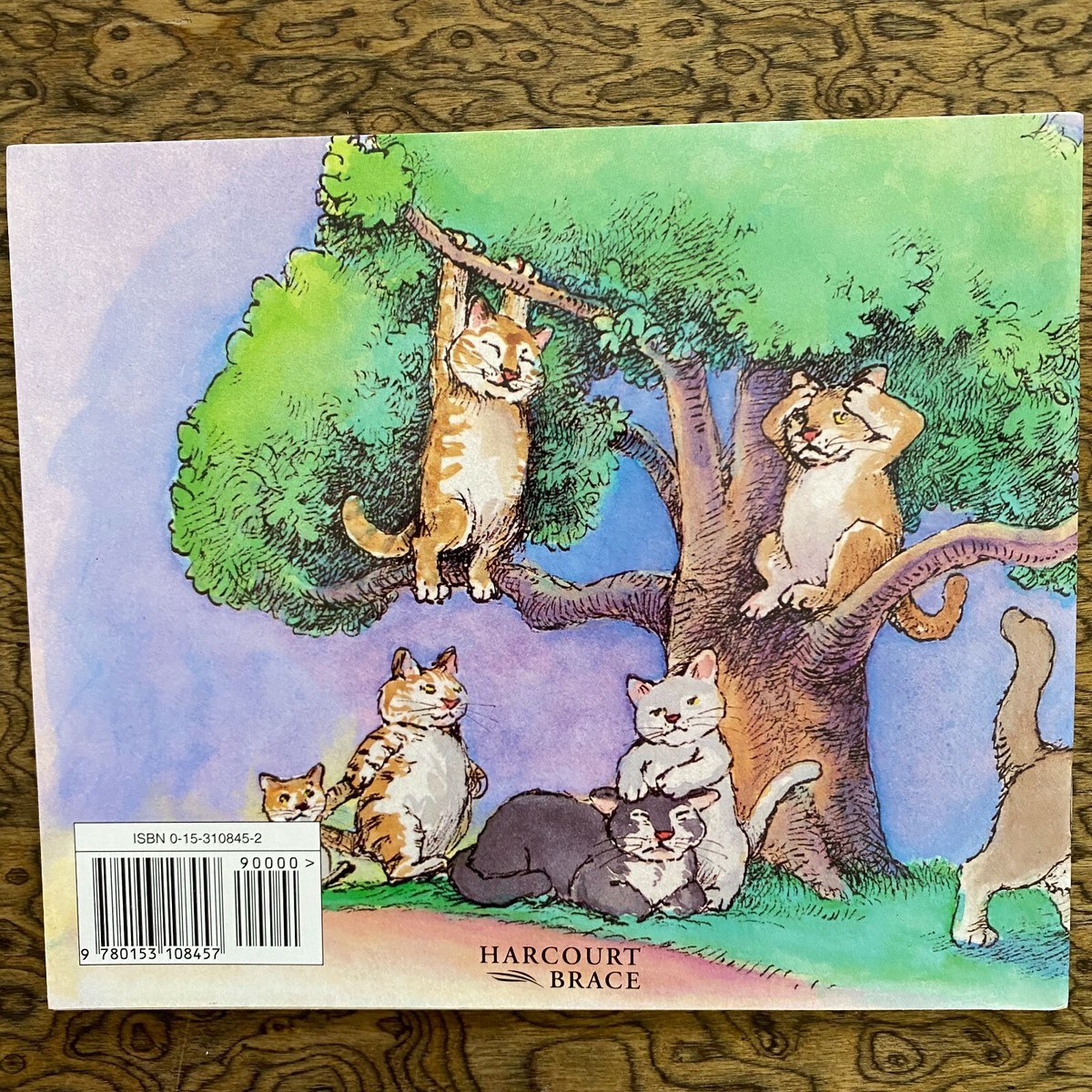 from cat st　10冊 Amazon.com: 10 Cats: 9781914912580: Gravett, Emily: Books