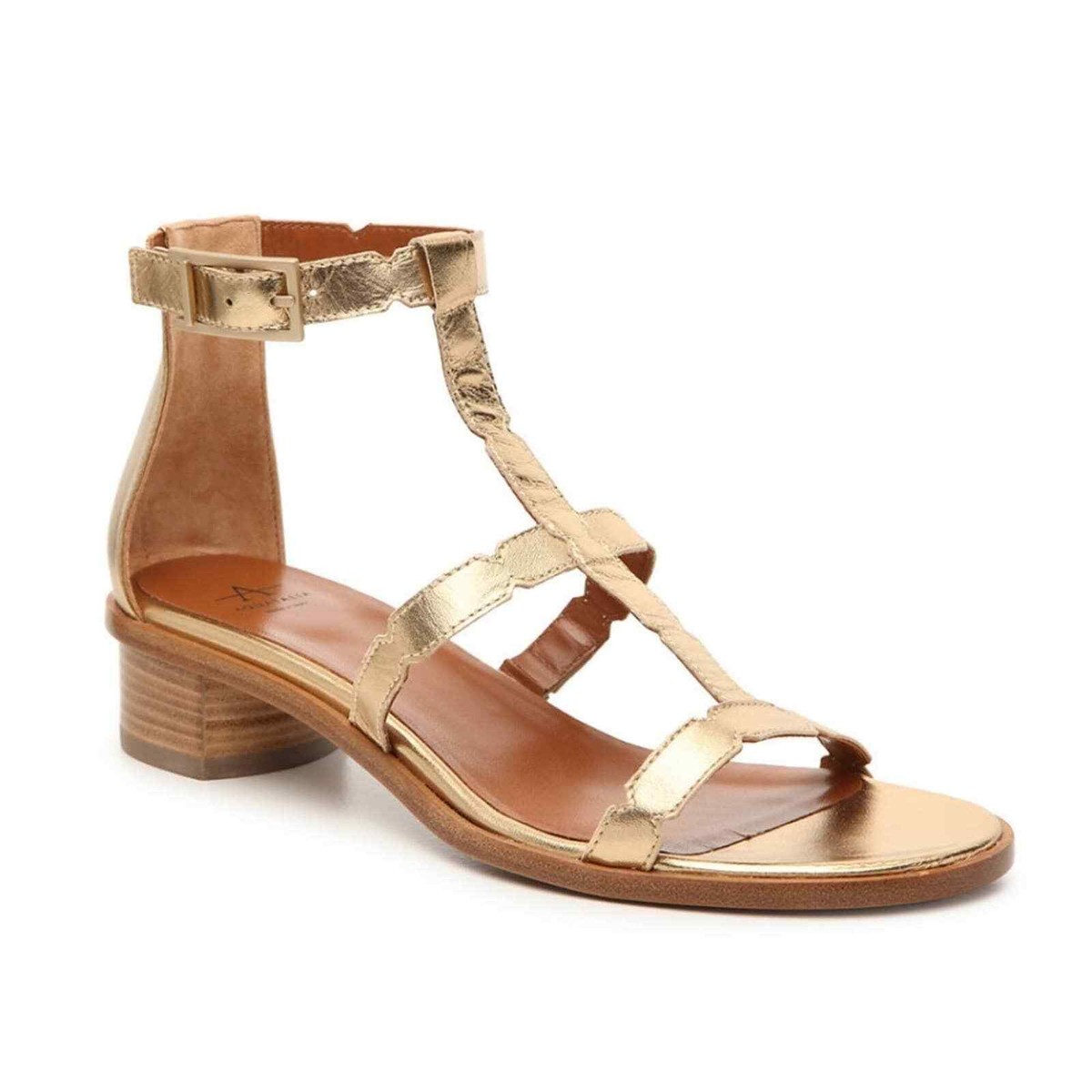 aquatalia gladiator sandals
