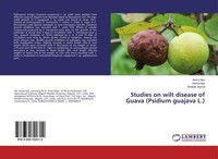 Studies On Wilt Disease Of Guava (Psidium Guajava L.) Shabbir Ashraf