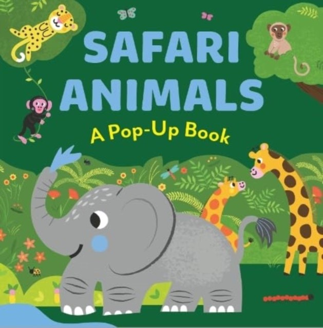 SAFARI ANIMALS by Hannah Porter HARDBACK 9781916781078