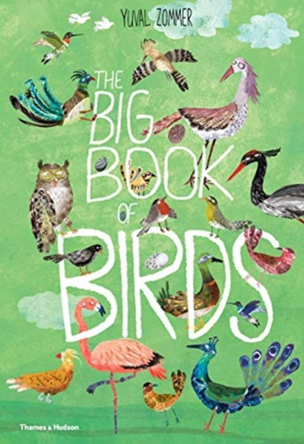 The Big Book of Birds by Yuval Zommer (Hardback Book)