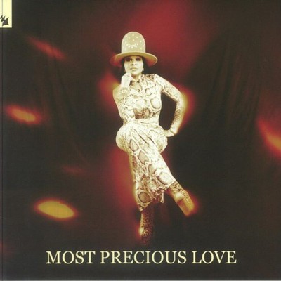 Blaze Presents UDAUFL Feat. Barbara Tucker - Most Precious Love (12'')