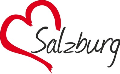 Niederösterreich Auto Aufkleber - Konturgeschnittener Vinyl Sticker Ca. 11 Cm