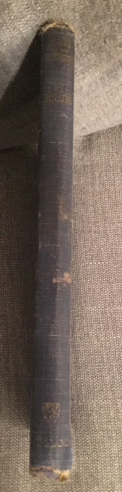 Foto 11 di 11