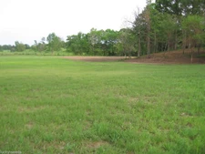 Tifton 9 Bahia ( Certified ) Grass Seeds - 10 Lbs.