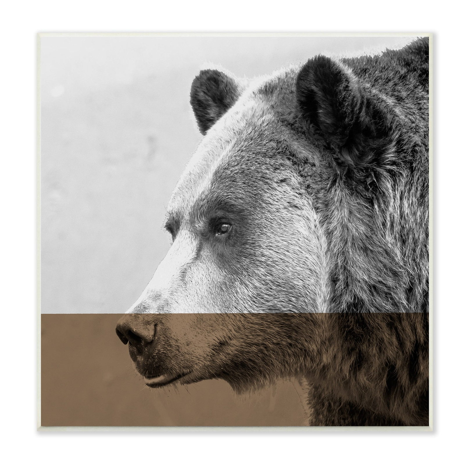 Stupell Modern Woodland Bear Portrait Layered Geometrical  12 x 12