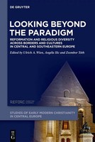 Looking Beyond The Paradigm | Angela Ilic (U. A.) | Buch | Ix | Deutsch | 2025