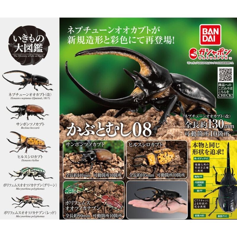 BANDAI Ikimono Encyclopedia Beetle 08 Complete Set Figure Capsule