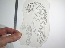 vtg 1960s 1970s Tattoo acetate stencil Two Parrots small large signed BR4