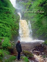 Traumzeit In Wales | Buch | 9783933825384