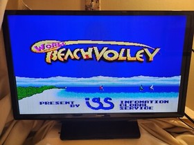 World Beach Volley PC-ENGINE HUCARD Game Cartridge (TurboGrafix-16)
