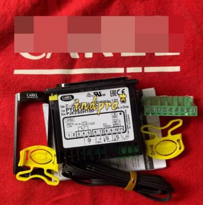 PJEZS0H100 temp controller SSR 100-240VAC + 2x NTC probe 1pc New