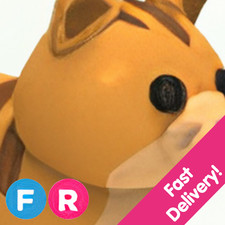 Ginger Cat   Fly Ride FR   US Seller Adopt From Me Today