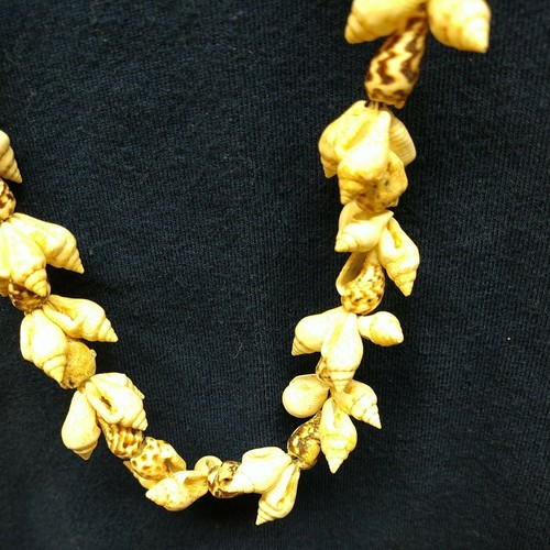 Pre owned sea shell 17" necklace - Picture 6 of 8
