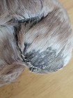 Bild 14 von 15