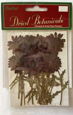 PURPLE PRESSED & DRIED REAL FLOWERS(20pc)Darice•Leaves•Garden Stem•Blooming•buds