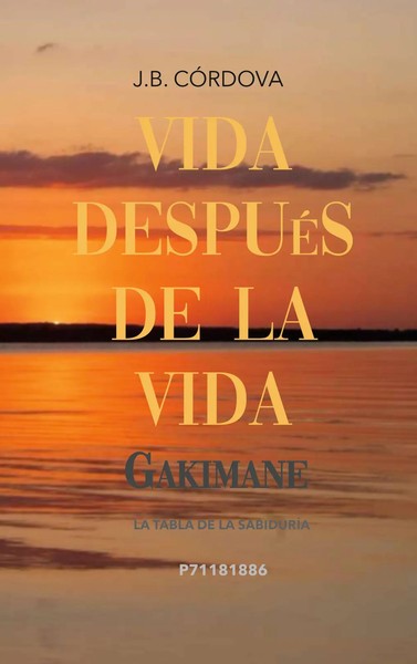 Juan BúCaro | Vida DespuéS De La Vida | Taschenbuch | Spanisch (2025)-image