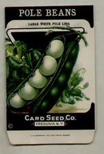 1920's LITHO CARD CO. POLE BEANS WHITE LIMA SEED PACKET