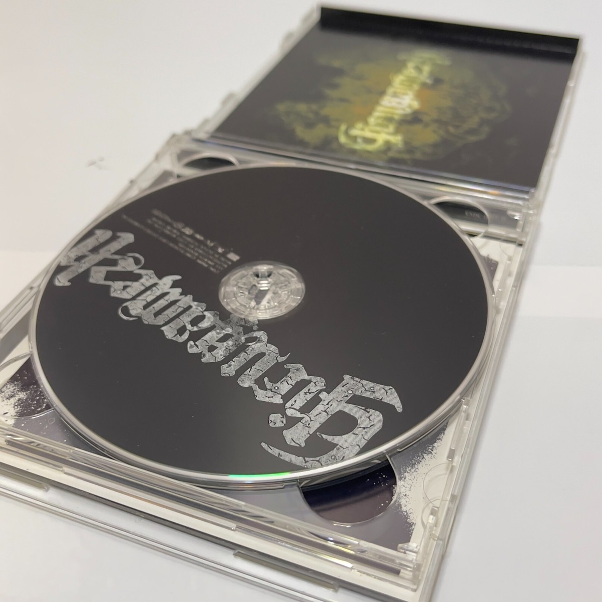 girugamesh　LIQUIDROOM SPECIAL DVD girugamesh LIQUIDROOM SPECIAL DVD Girugamesh [CD + DVD