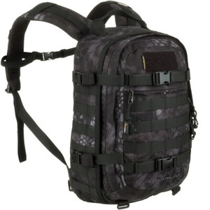 wisport backpack