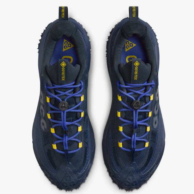 Nike ACG Mountain Fly 2 Low Gore-TEX Shoes 'Dark Obsidiain