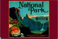 Vtg National Park BrogdeX Company Fruit Vegetable Sunkist Advertising Postcard